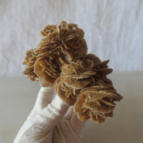 natural quartz flower gobi stone raw desert rock home decor. (g21)