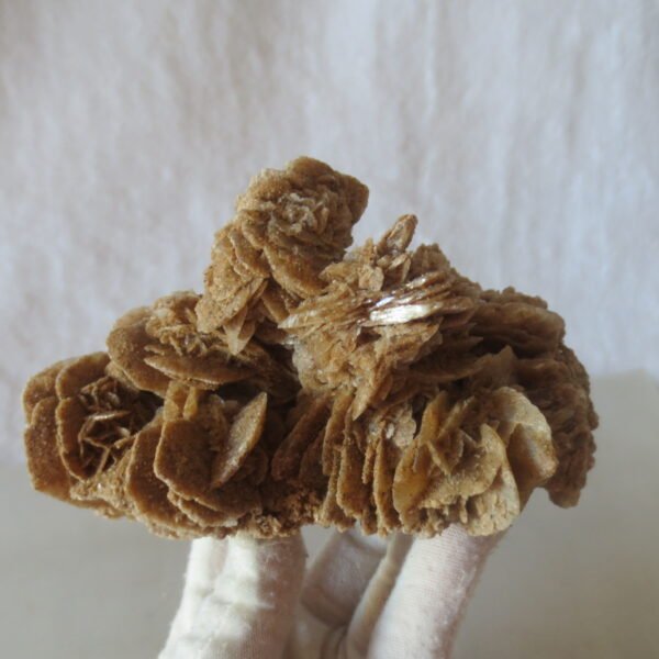 natural quartz flower gobi stone raw desert rock home decor. (g21)