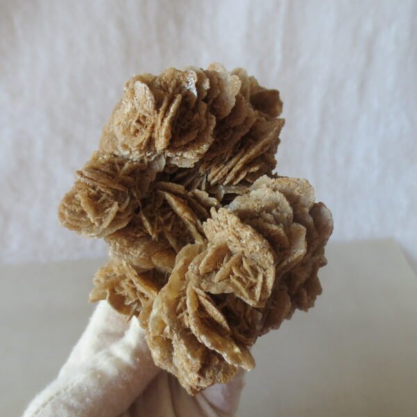 natural quartz flower gobi stone raw desert rock home decor. (g21)