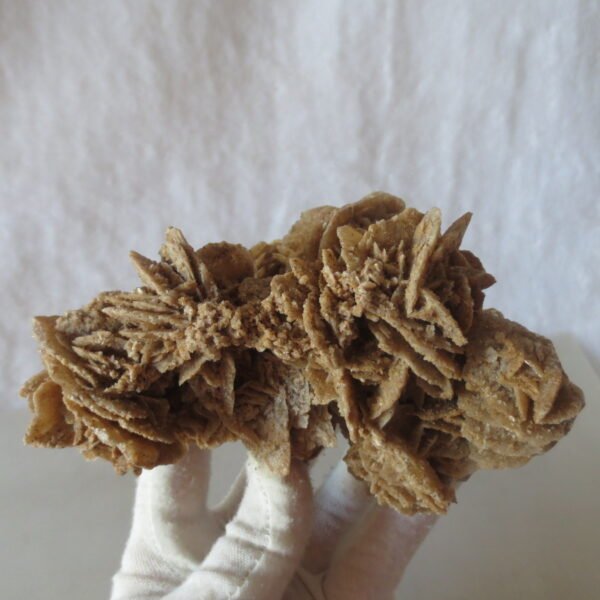 natural quartz flower gobi stone raw desert rock home decor. (g21)
