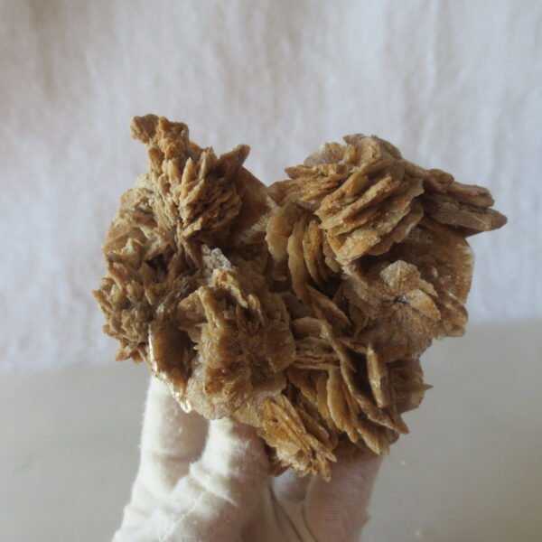natural desert rose gobi agate raw stone mineral home decor. (i01)