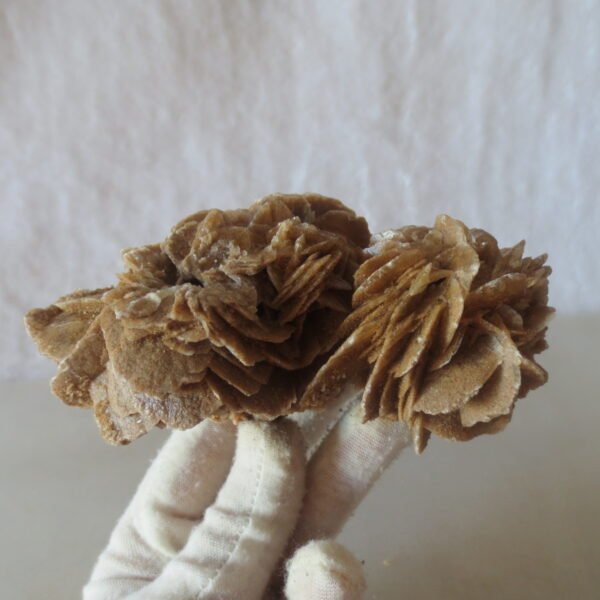 natural desert rose gobi agate raw stone mineral home decor. (i02)
