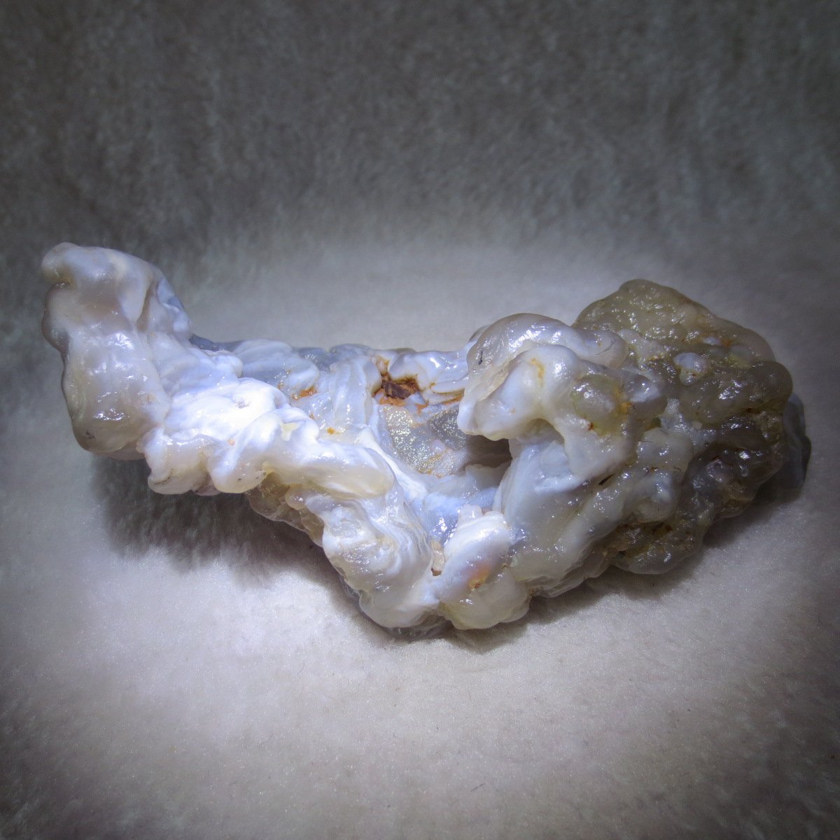 natural flower gobi agate raw desert rock home decor. (h01)