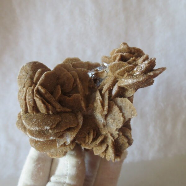 natural desert rose gobi agate raw stone mineral home decor. (i04)