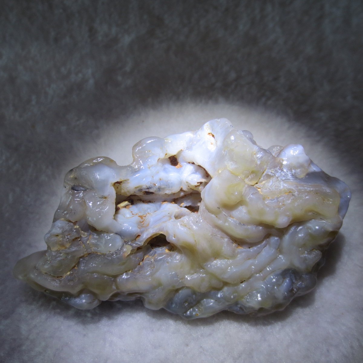 natural flower gobi agate raw desert rock home decor. (h04)