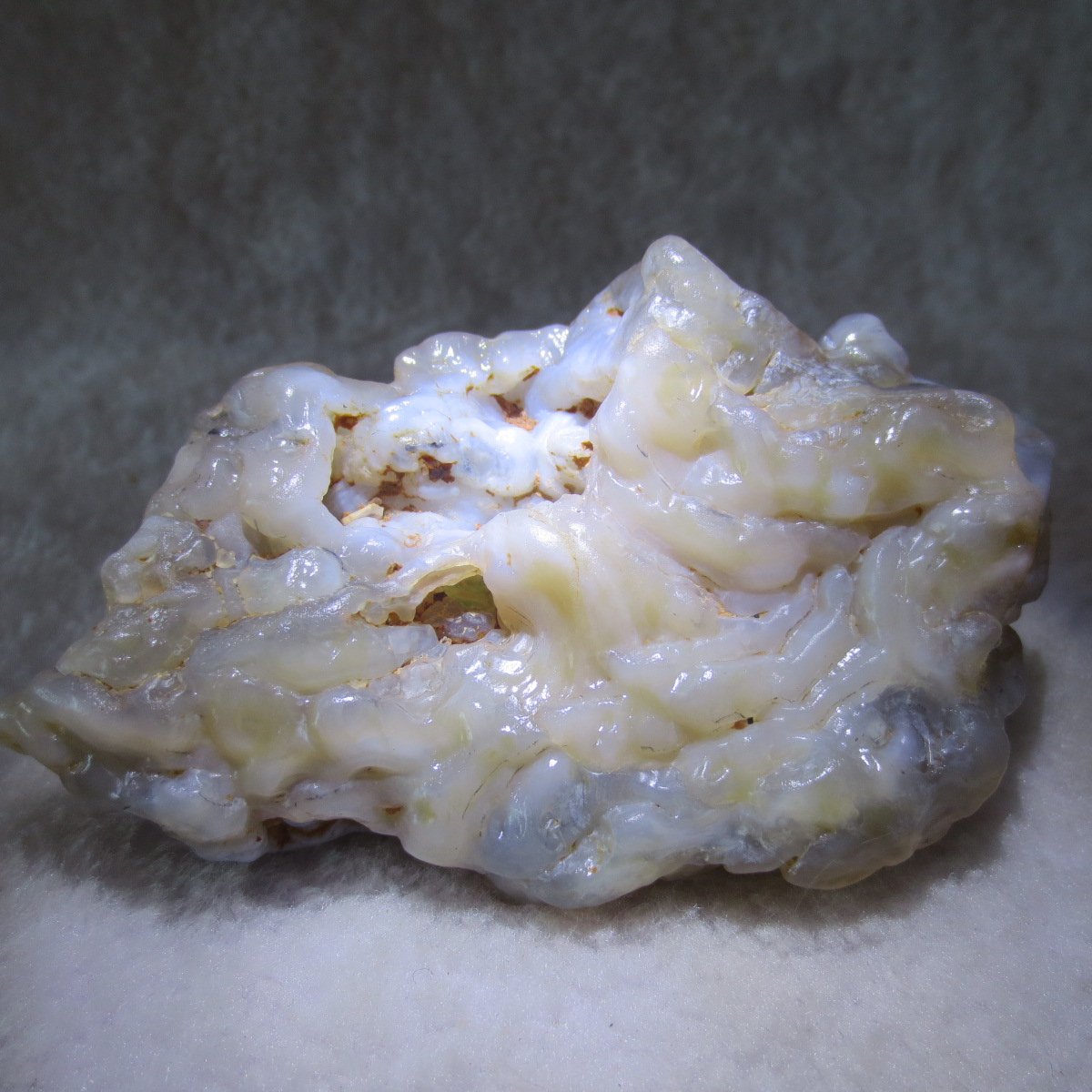 natural flower gobi agate raw desert rock home decor. (h04)