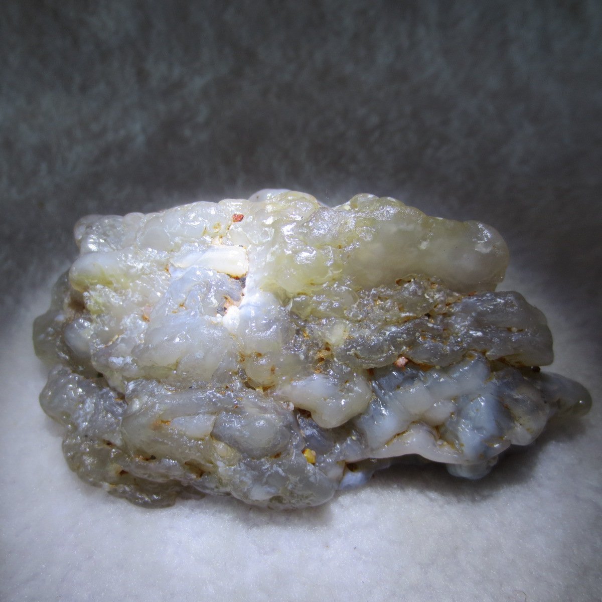 natural flower gobi agate raw desert rock home decor. (h04)