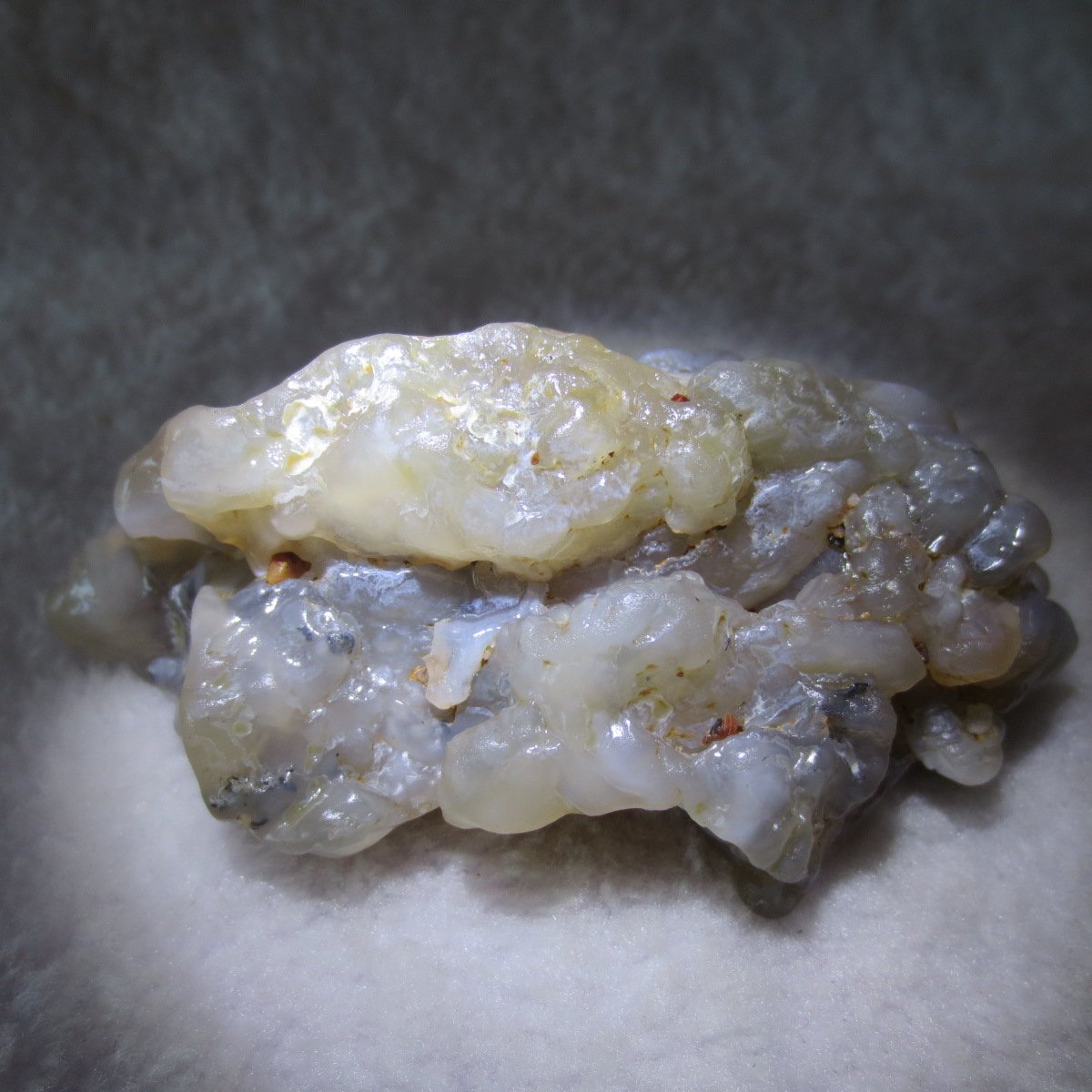 natural flower gobi agate raw desert rock home decor. (h04)