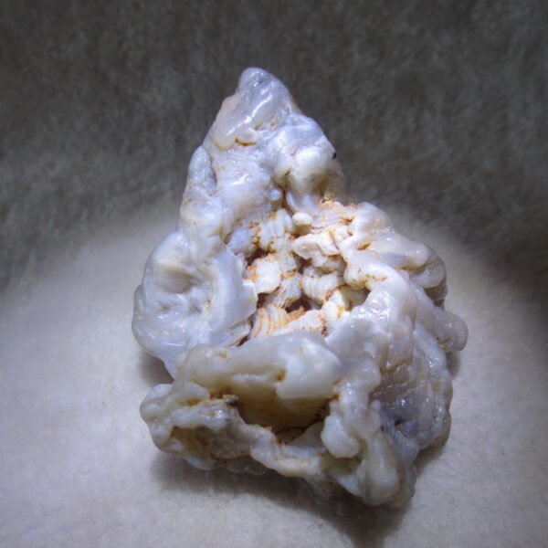 natural flower gobi agate raw desert rock home decor. (h05)
