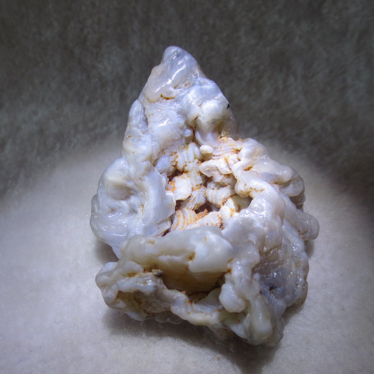 natural flower gobi agate raw desert rock home decor. (h05)