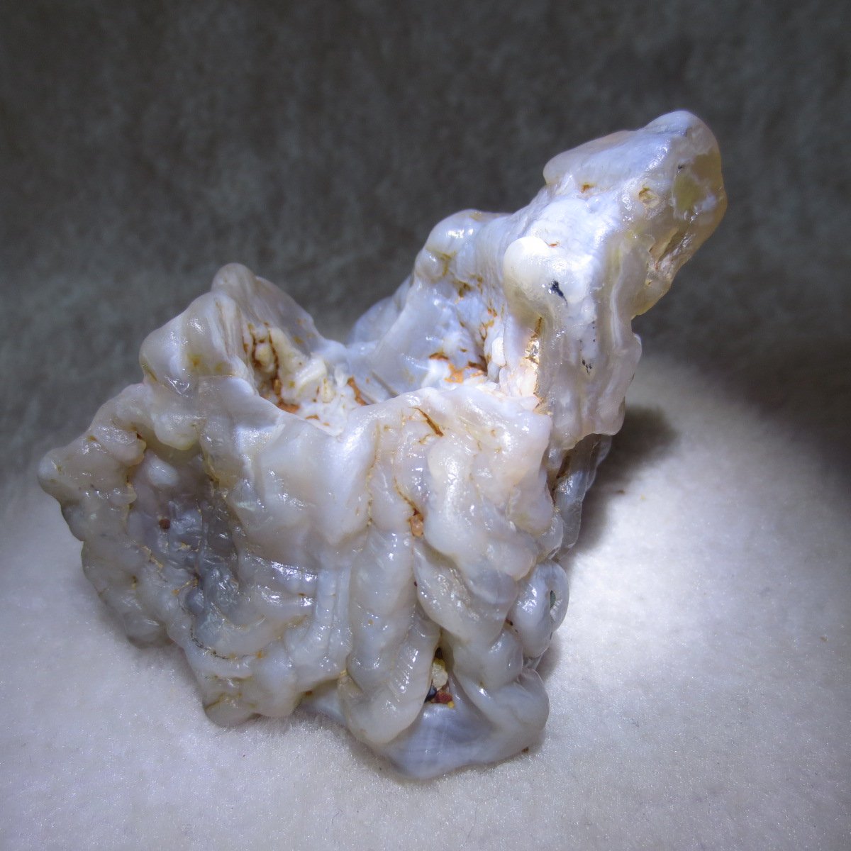 natural flower gobi agate raw desert rock home decor. (h05)