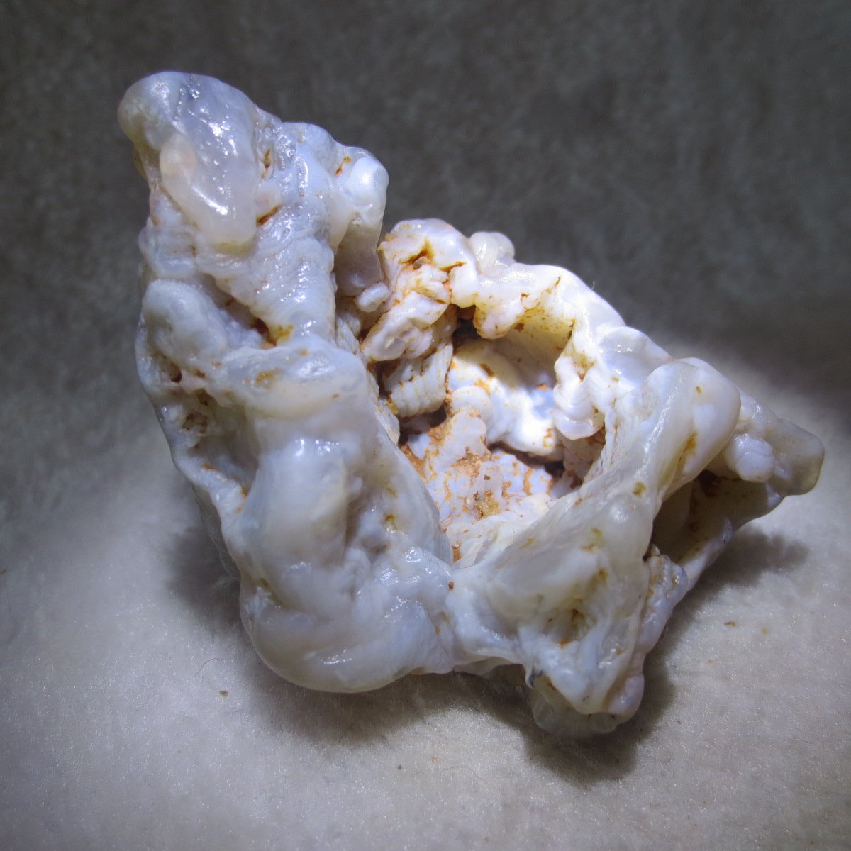 natural flower gobi agate raw desert rock home decor. (h05)