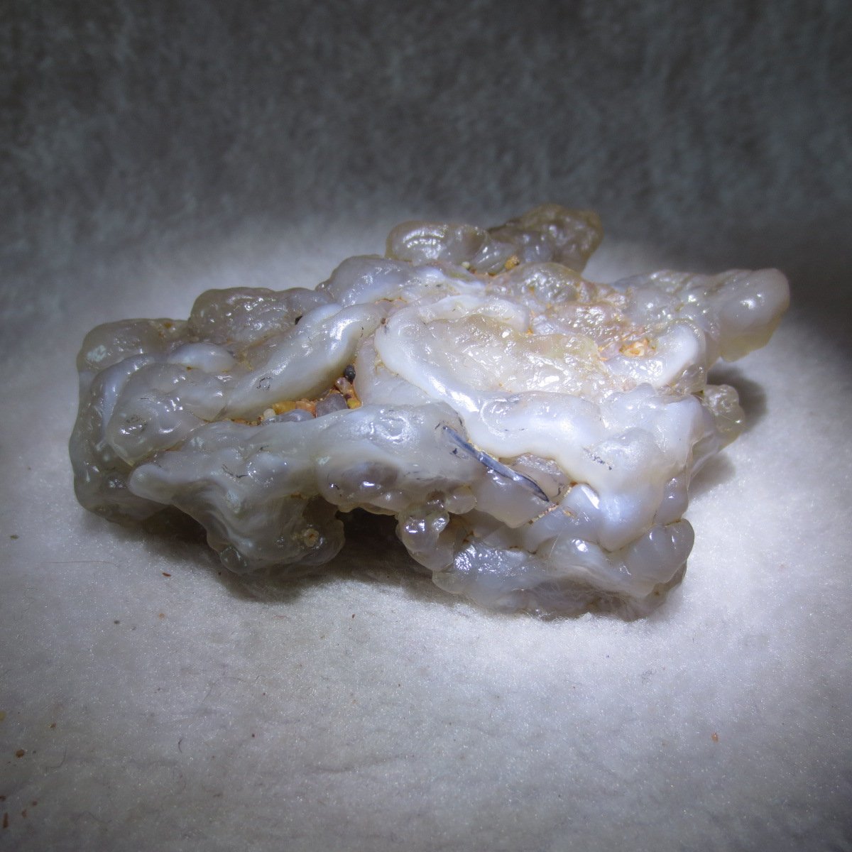 natural flower gobi agate raw desert rock home decor. (h06)