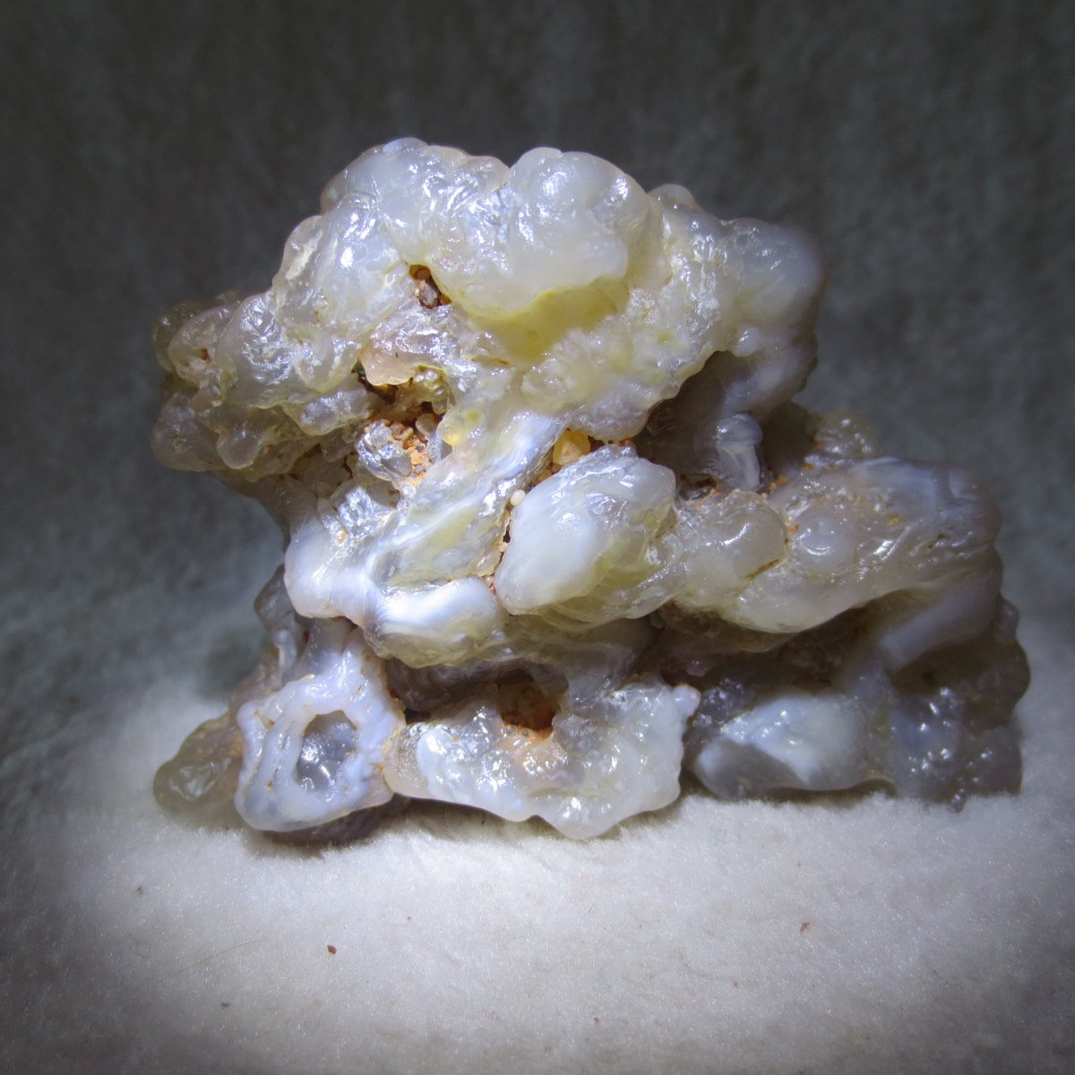 natural flower gobi agate raw desert rock home decor. (h08)