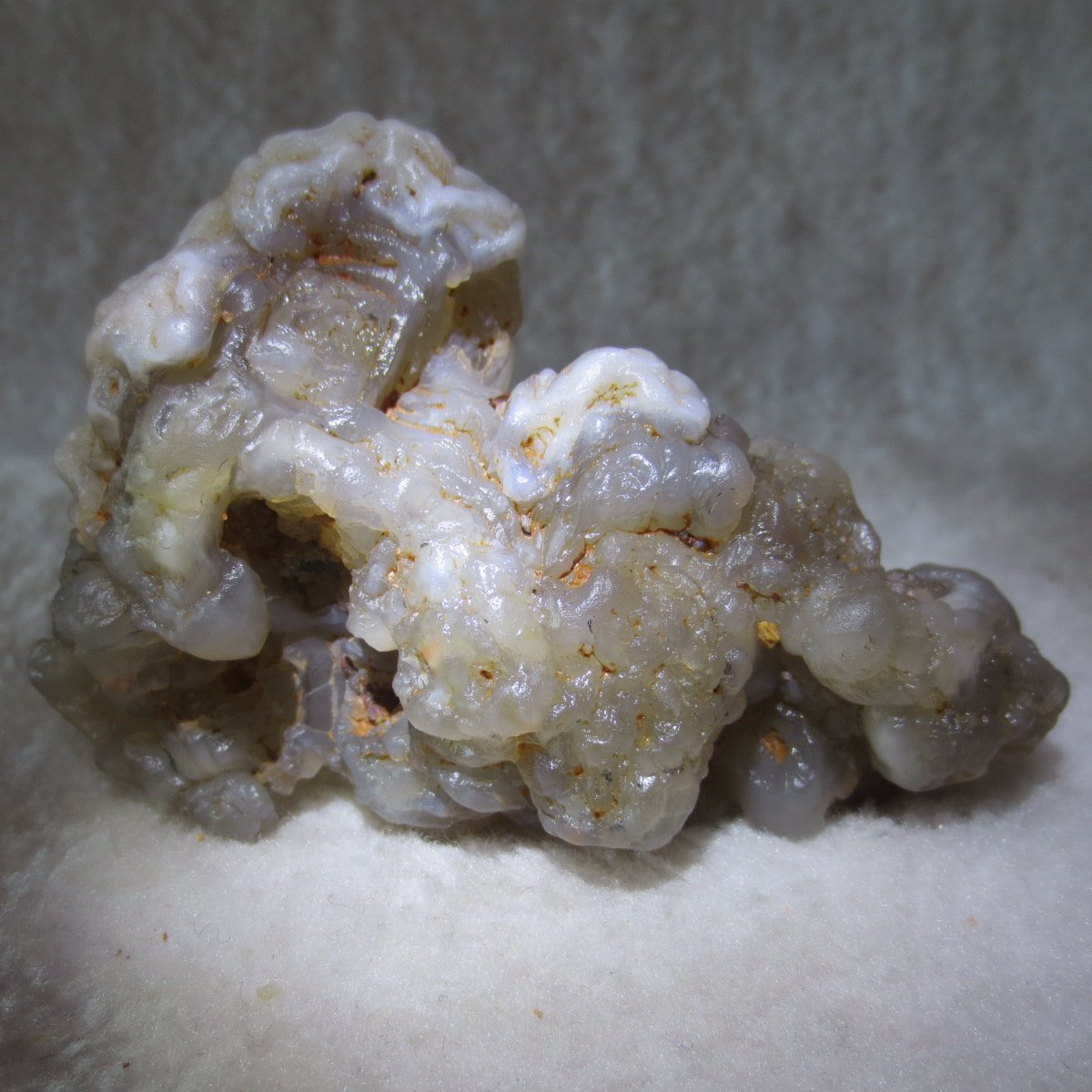 natural flower gobi agate raw desert rock home decor. (h10)
