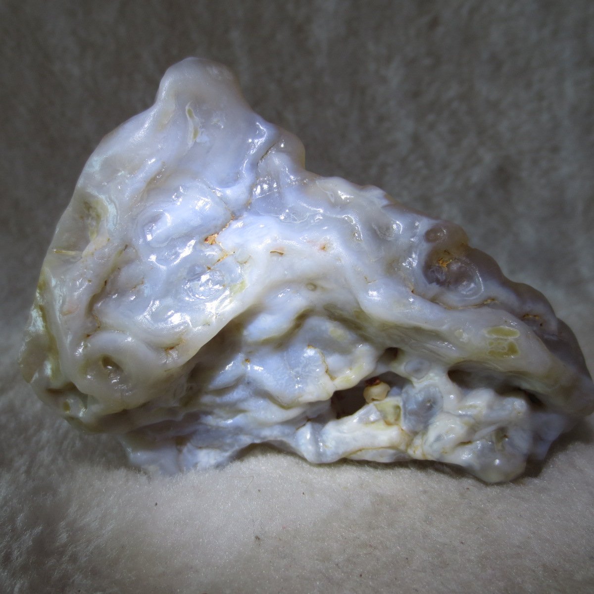 natural flower gobi agate raw desert rock home decor. (h11)