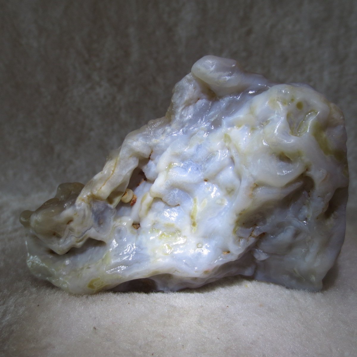natural flower gobi agate raw desert rock home decor. (h11)