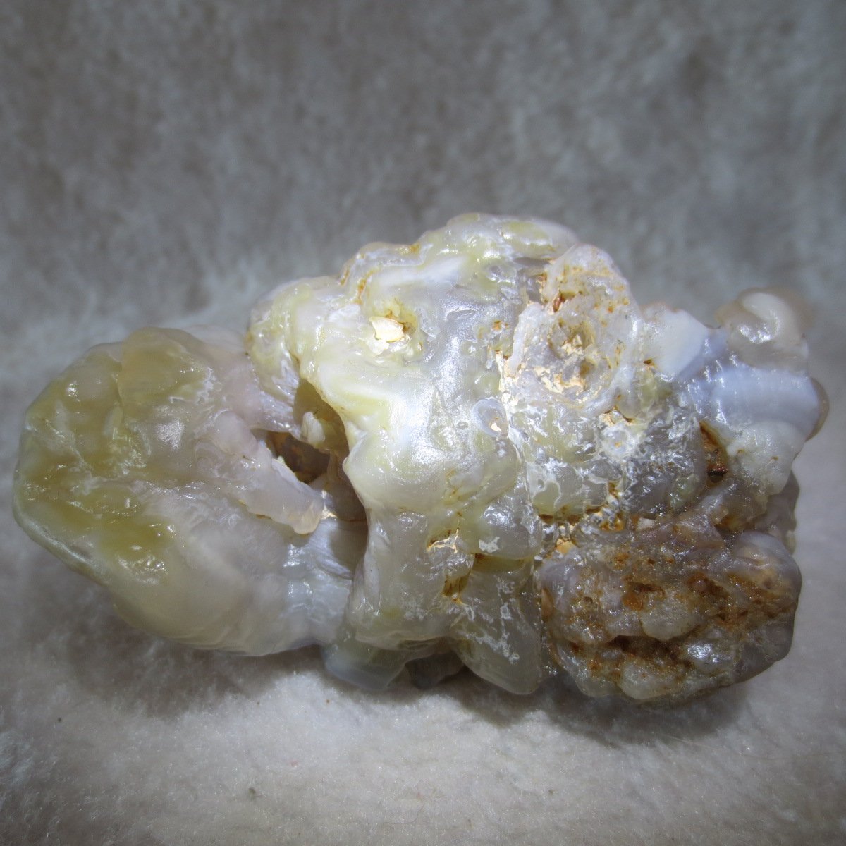natural flower gobi agate raw desert rock mineral specimen (h12)