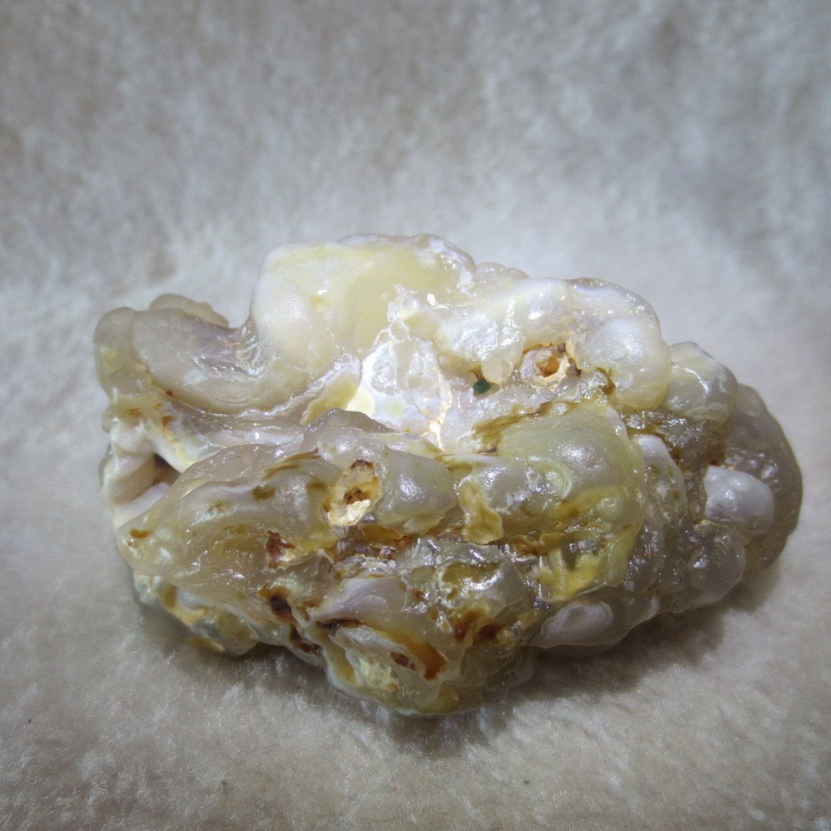 natural flower gobi agate raw desert rock mineral specimen (h12)