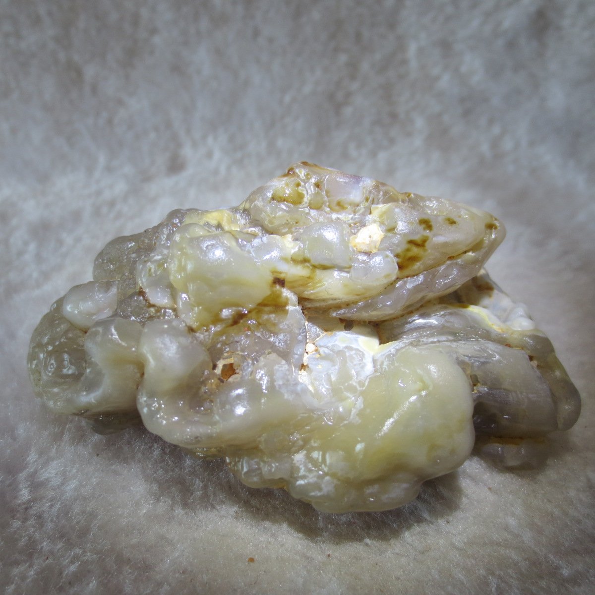 natural flower gobi agate raw desert rock mineral specimen (h12)