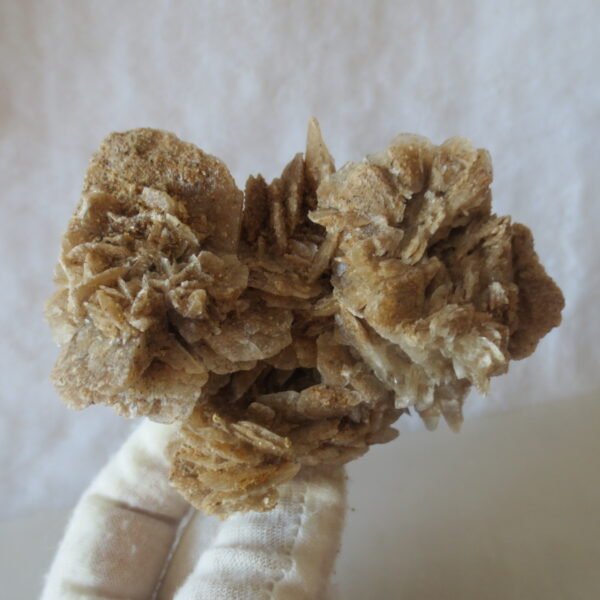 natural desert rose gobi agate raw stone mineral home decor. (i09）