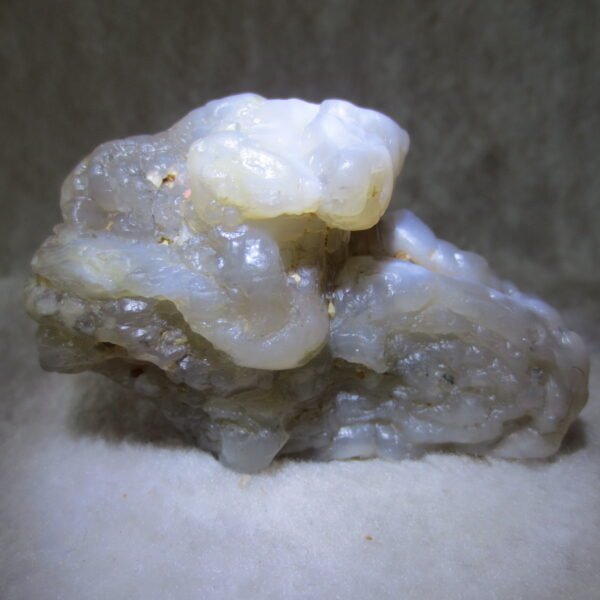 natural flower gobi agate raw desert rock mineral specimen (h13)