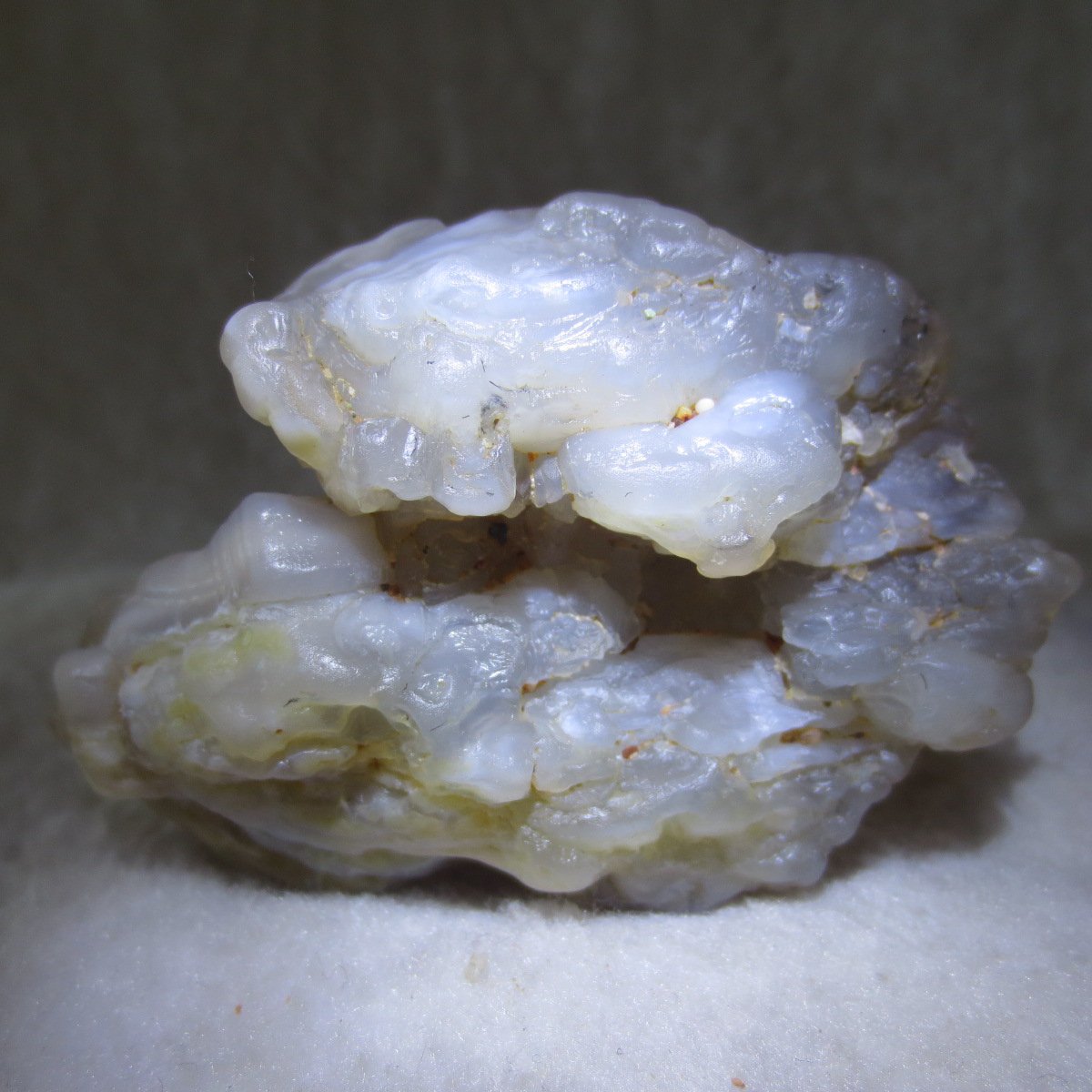 natural flower gobi agate raw desert rock mineral specimen (h13)
