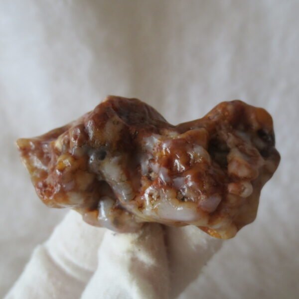 multi color gobi flower agate raw stone natural botryoidal desert agate specimen (k81) (copy)