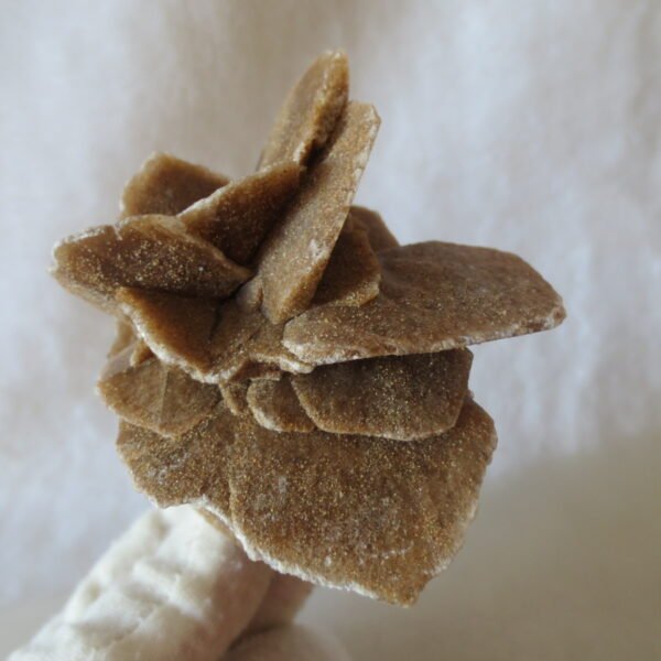 natural desert rose gobi agate raw stone mineral home decor. (i09)