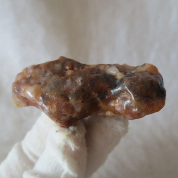 multi color gobi flower agate raw stone natural botryoidal desert agate specimen (k82)