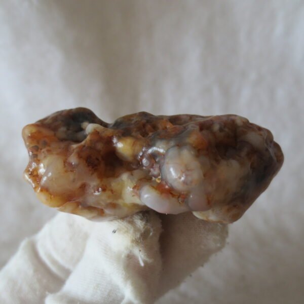 multi color gobi flower agate raw stone natural botryoidal desert agate specimen (k82)