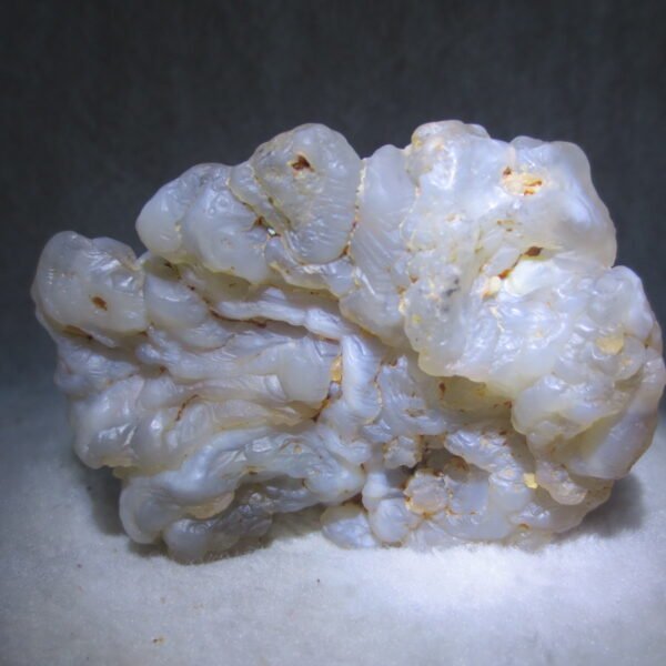 natural flower gobi agate raw desert rock mineral specimen (h16)