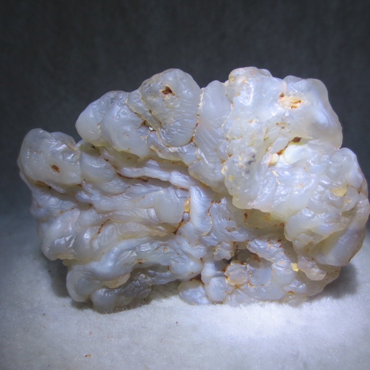 natural flower gobi agate raw desert rock mineral specimen (h16)