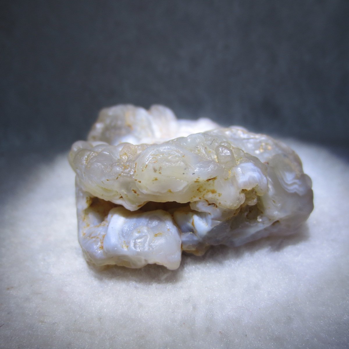 natural flower gobi agate raw desert rock mineral specimen (h16)