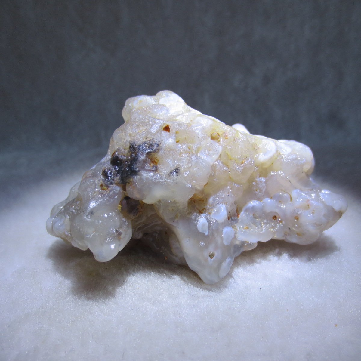 natural flower gobi agate raw desert rock mineral specimen (h17)