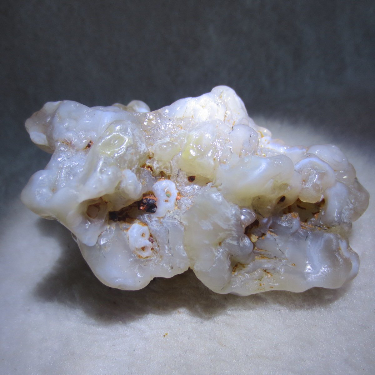 natural flower gobi agate raw desert rock mineral specimen (h17)