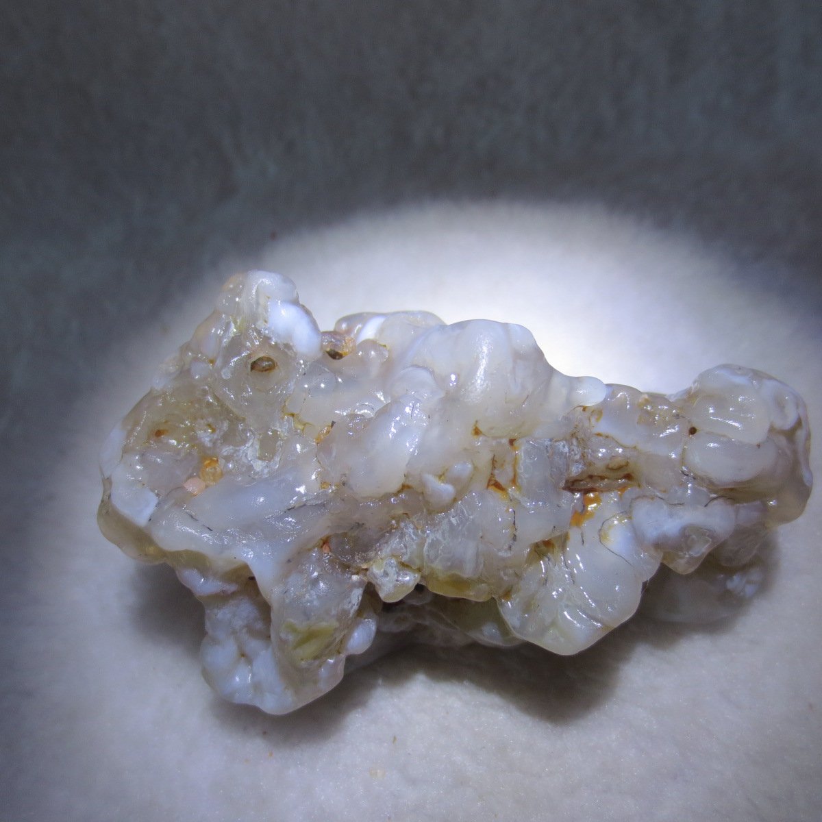 natural flower gobi agate raw desert rock mineral specimen (h17)