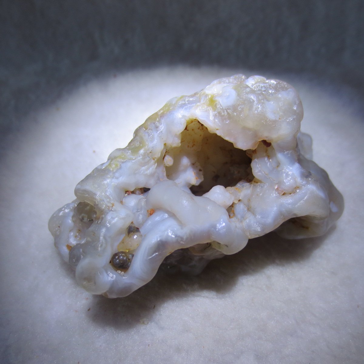 natural flower gobi agate raw desert rock mineral specimen (h17)