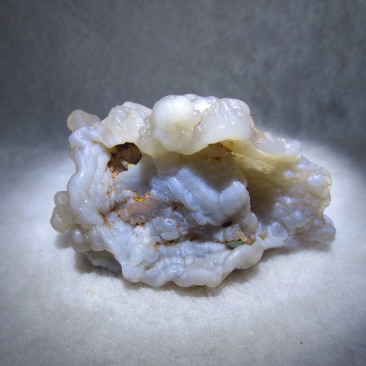 natural flower gobi agate raw desert rock mineral specimen (h18)