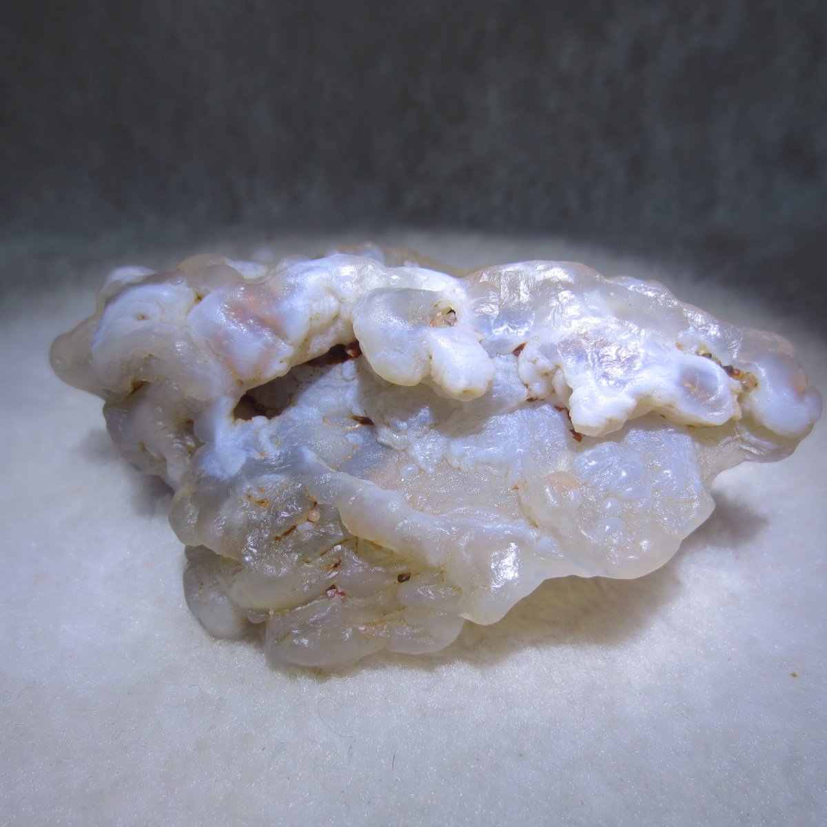 natural flower gobi agate raw desert rock mineral specimen (h18)