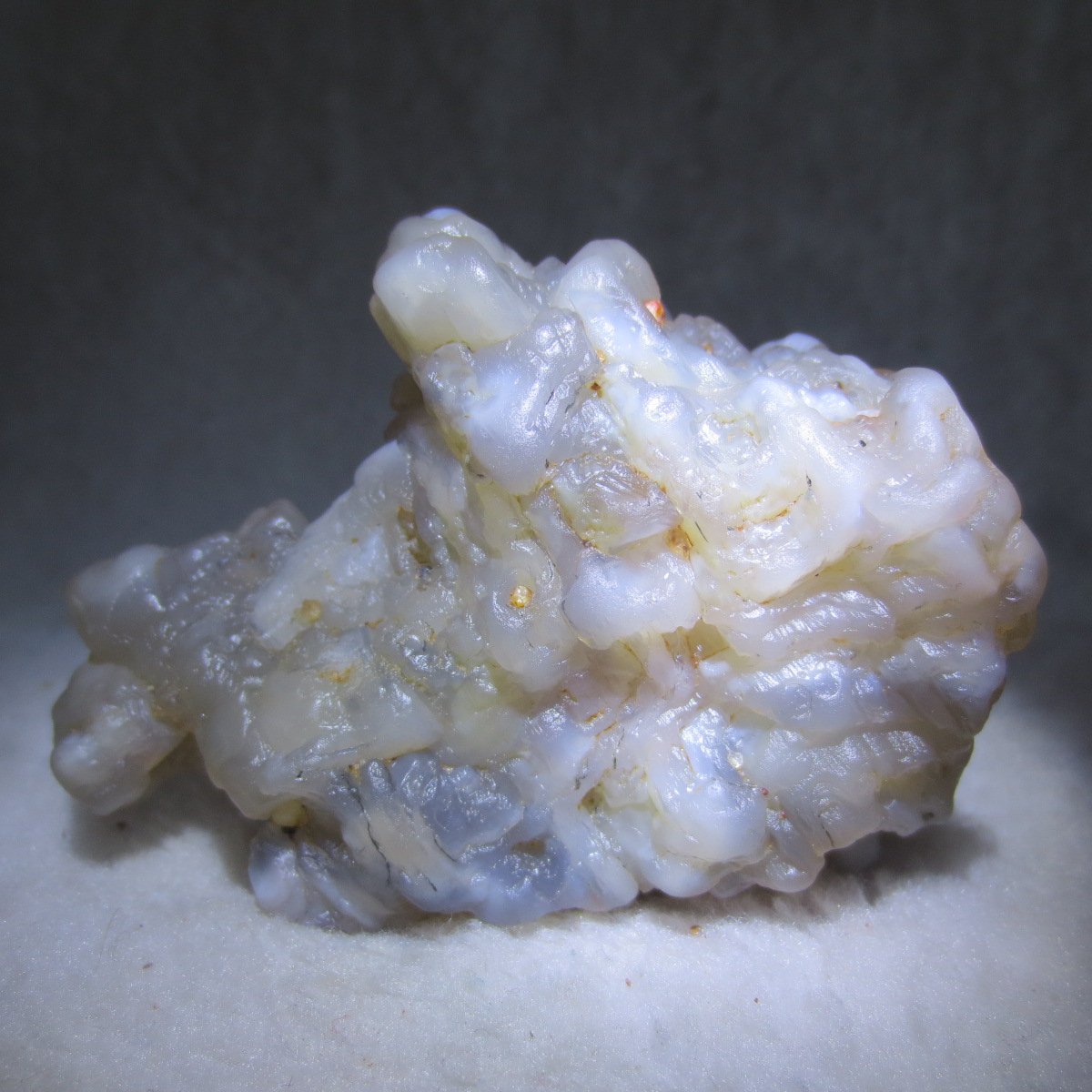 natural flower gobi agate raw desert rock mineral specimen (h19)
