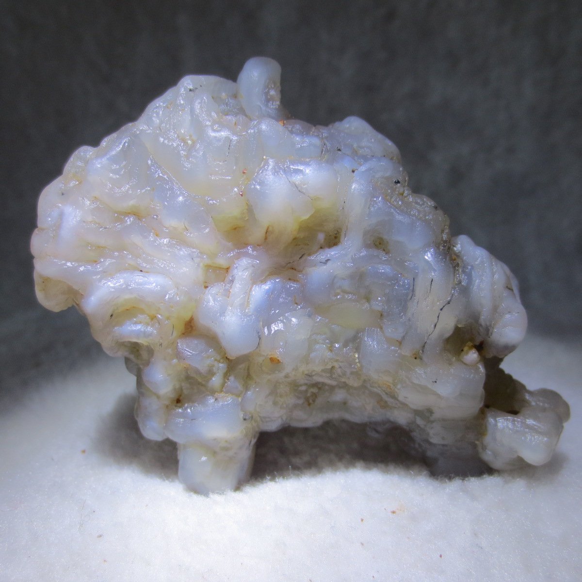 natural flower gobi agate raw desert rock mineral specimen (h19)