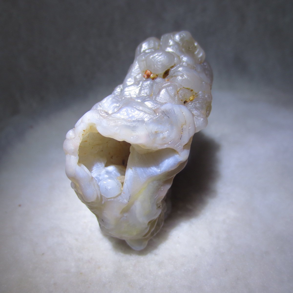 natural flower gobi agate raw desert rock mineral specimen (h19)