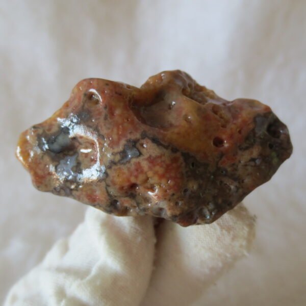 multi color gobi flower agate raw stone natural botryoidal desert agate specimen (k86) (copy)