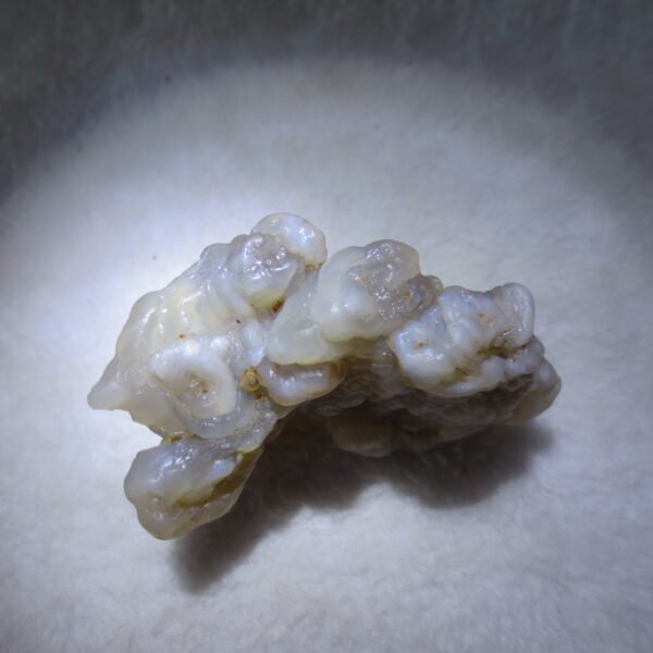 natural flower gobi agate raw desert rock mineral specimen (h20)