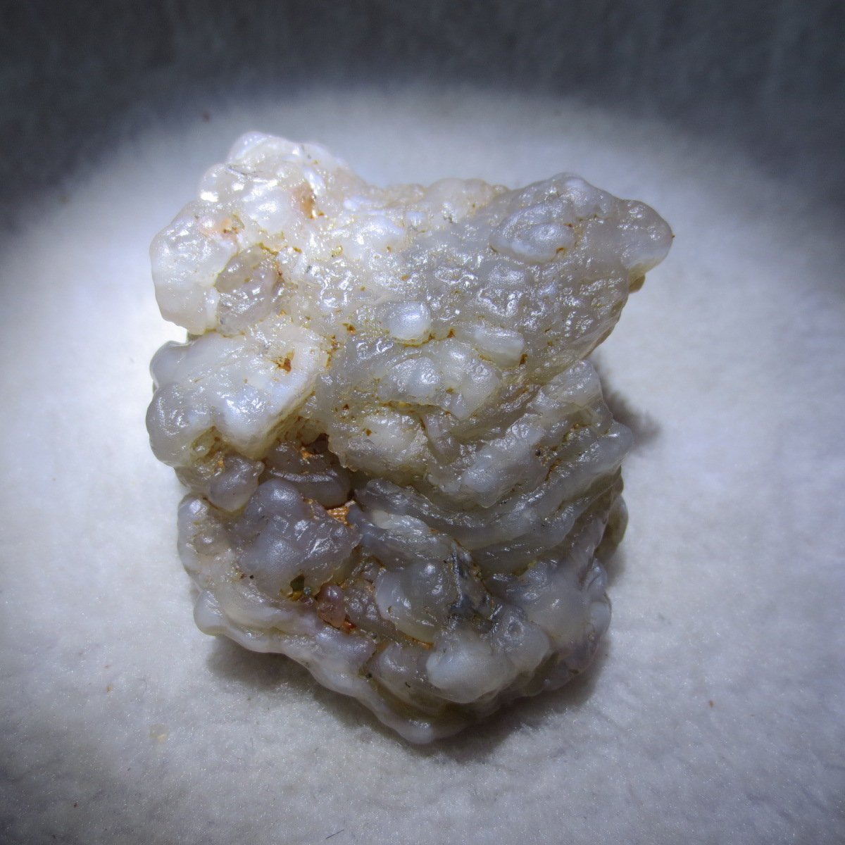 natural flower gobi agate raw desert rock mineral specimen (h20)