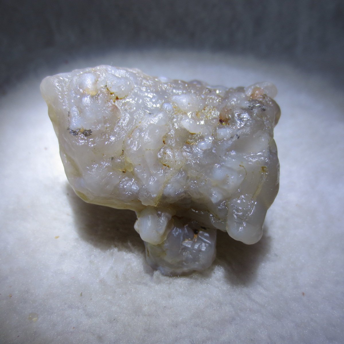 natural flower gobi agate raw desert rock mineral specimen (h20)
