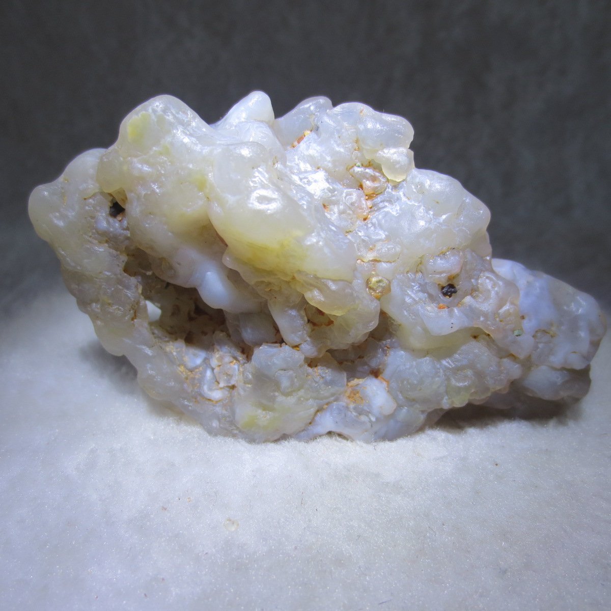 natural flower gobi agate raw desert rock mineral specimen (h21)