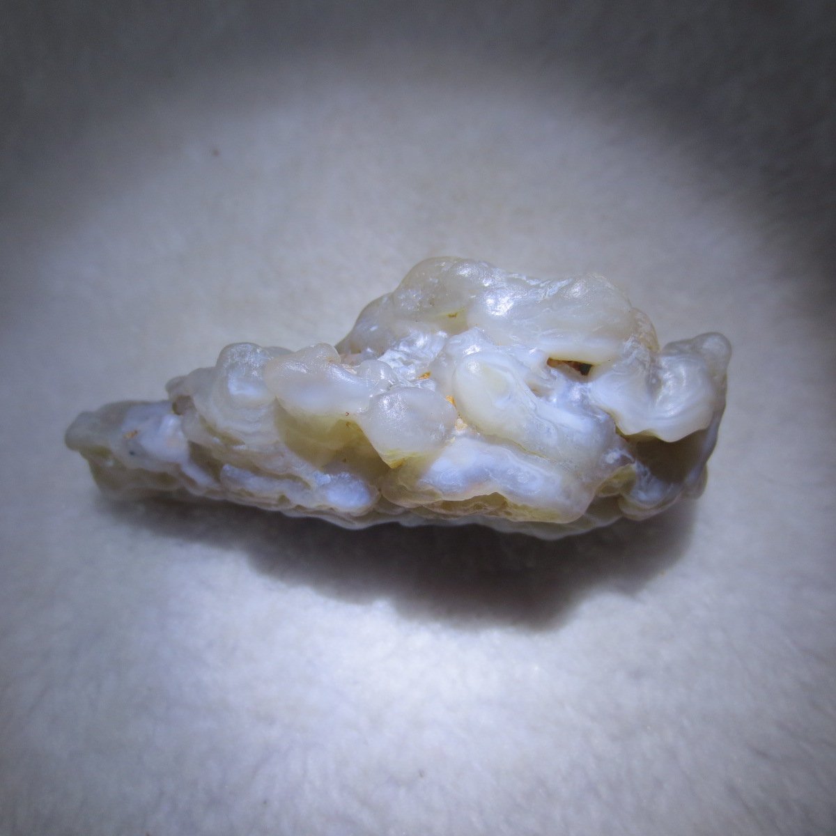 natural flower gobi agate raw desert rock mineral specimen (h21)