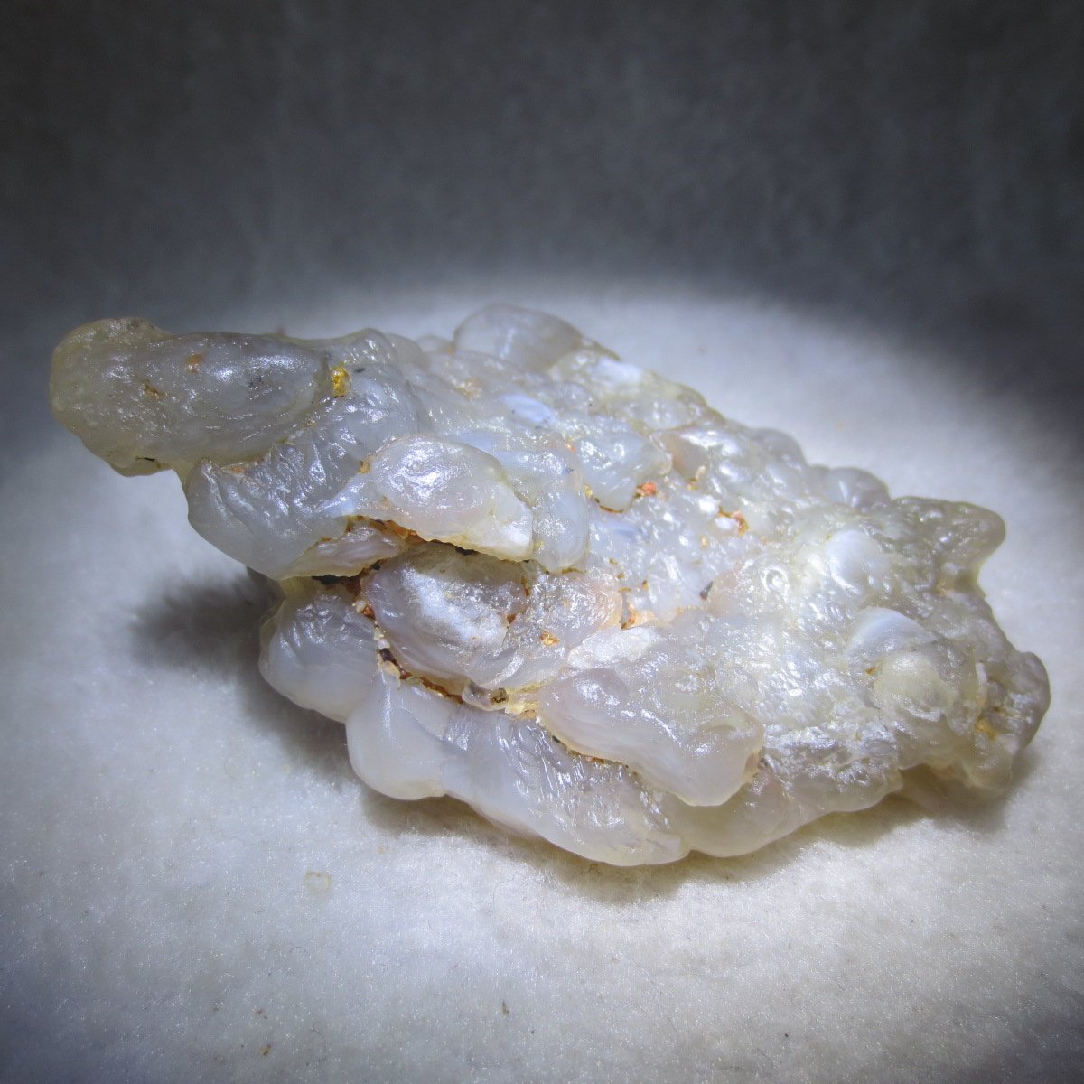 natural flower gobi agate raw desert rock mineral specimen (h22)
